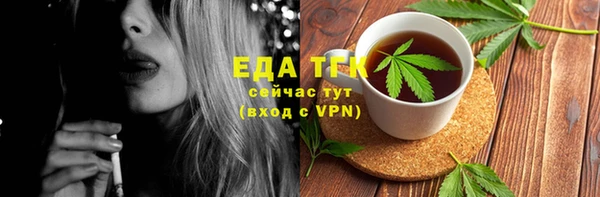 молекула духа Мензелинск