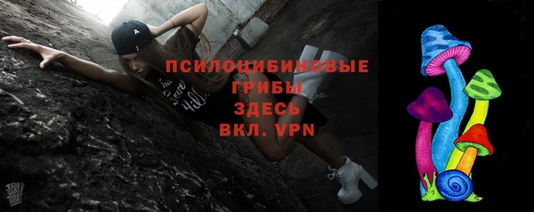 прущие крисы Новозыбков