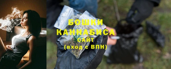 прущие крисы Новозыбков