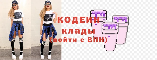 гашик Менделеевск
