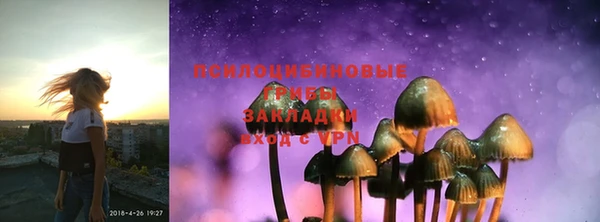 ешки Новодвинск