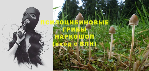 ешки Новодвинск