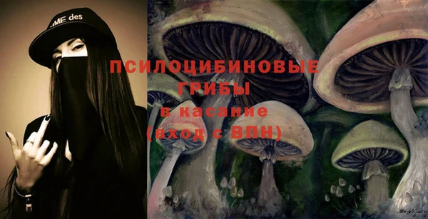прущие крисы Новозыбков