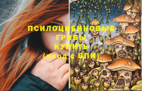 ешки Новодвинск