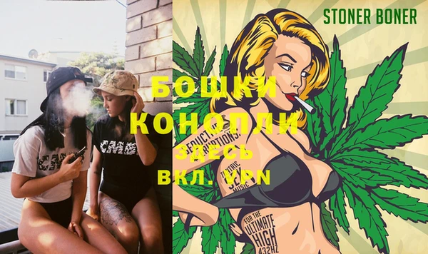 ешки Новодвинск