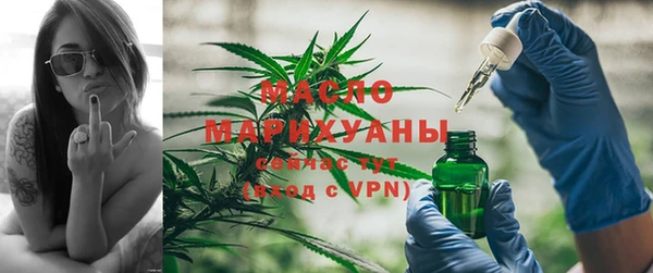 прущие крисы Новозыбков