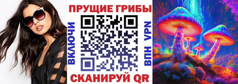 Галлюциногенные грибы Psilocybe  Нязепетровск 